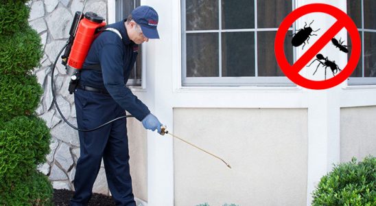 Çamoluk Karınca İlaçlama böcek ilaçlama ve haşere kontrolü — ilaclama-tr.com
